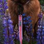 L-ULTR-LILAC-W_8491703e-c656-45a2-bf56-83180df0cde2