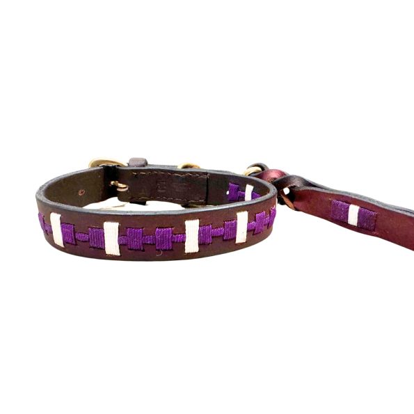 lokki_purple_collar_and_lead_669b55bf-b853-4d42-bcfa-f9fa607b0ccc